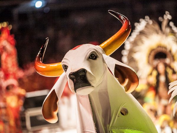 O Festival de Parintins é uma das grandes tradições desse nosso Brasil. Se você ainda não conhece essa festa, confira alguns detalhes sobre ela aqui.