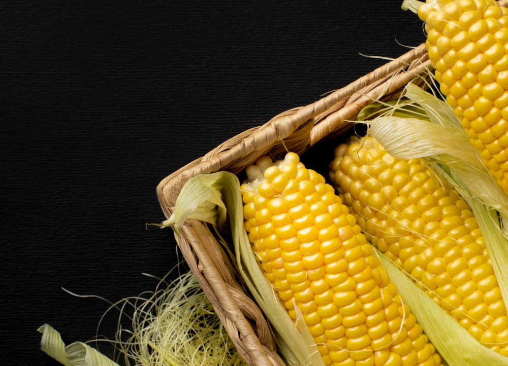 3 receitas com milho para festa junina | 3 milhos em uma caixa | Atacadão