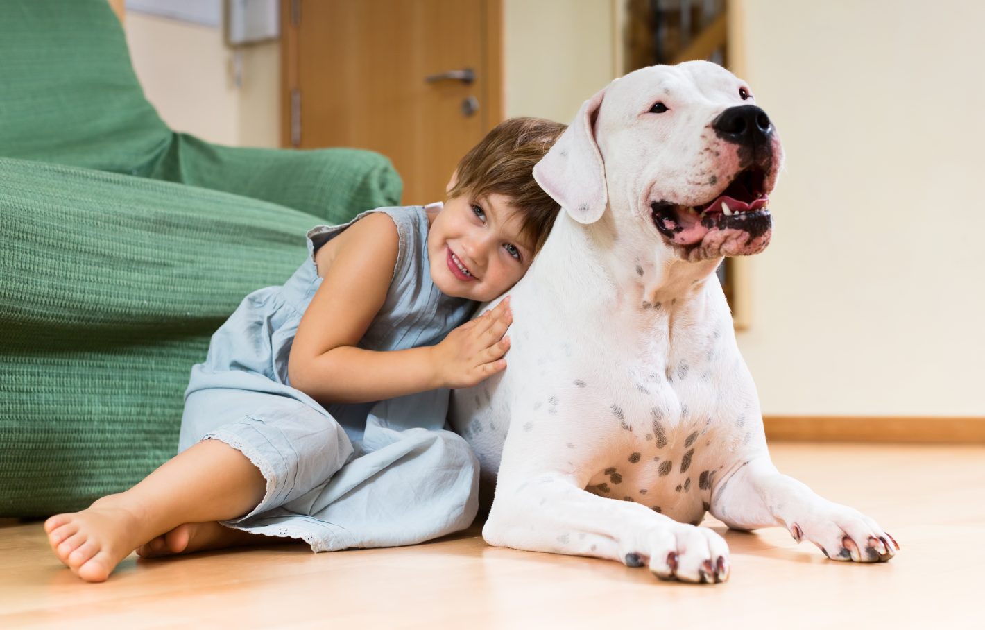 Produtos de limpeza importantes para quem tem cachorro | Menino sorrindo abraçando um cachorro grande | Atacadão