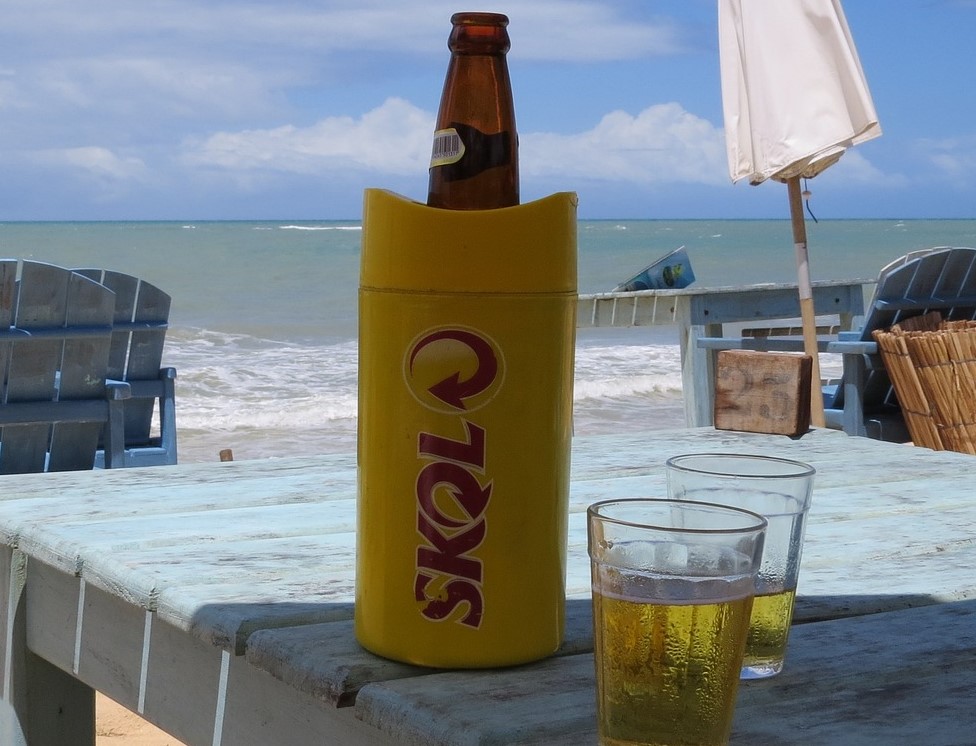 As melhores marcas de cerveja para vender em seu bar | Garrafa de Skol e copo de cerveja com mar de fundo | Atacadão