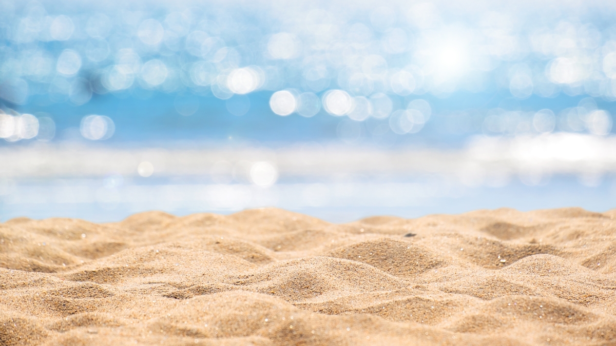 Cardápio perfeito para um Carnaval na praia: o que levar?