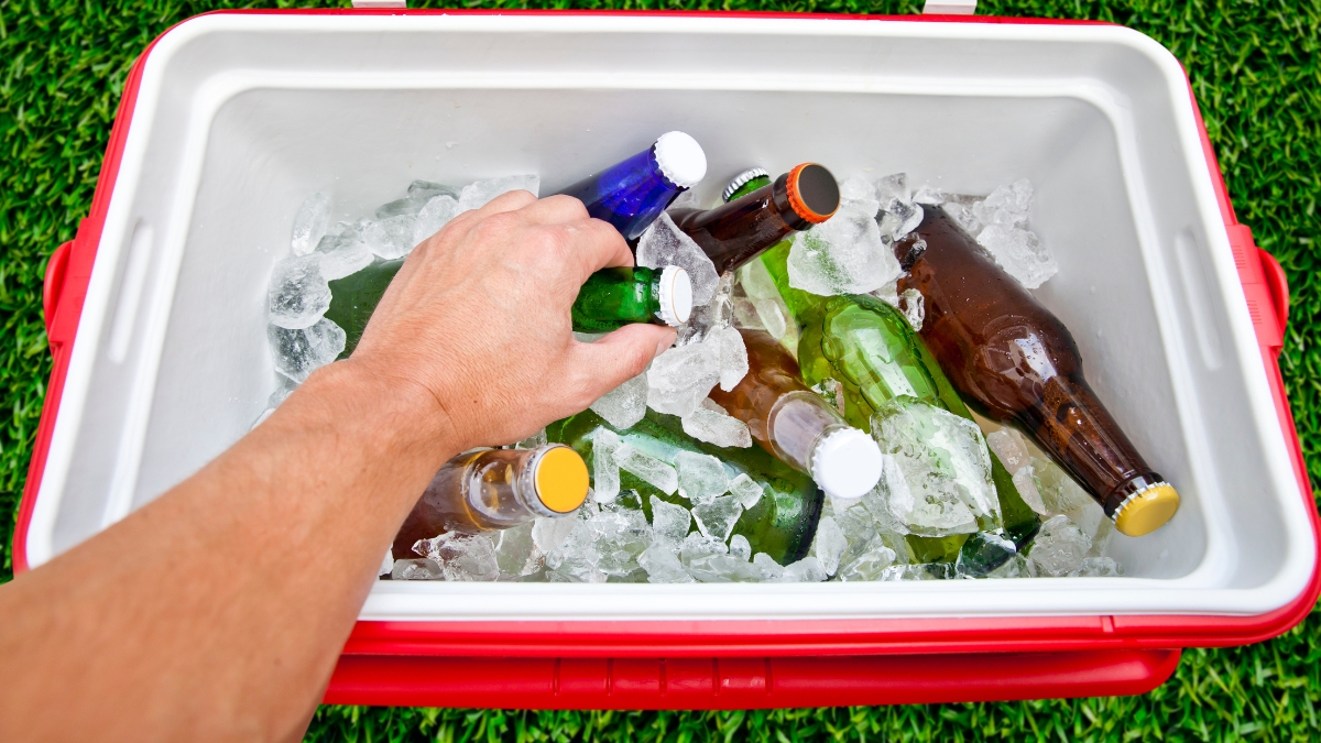 Como montar um cooler perfeito para o carnaval?