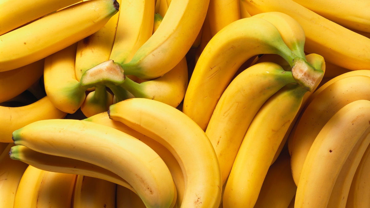 Receitas com casca de banana: saiba mais!
