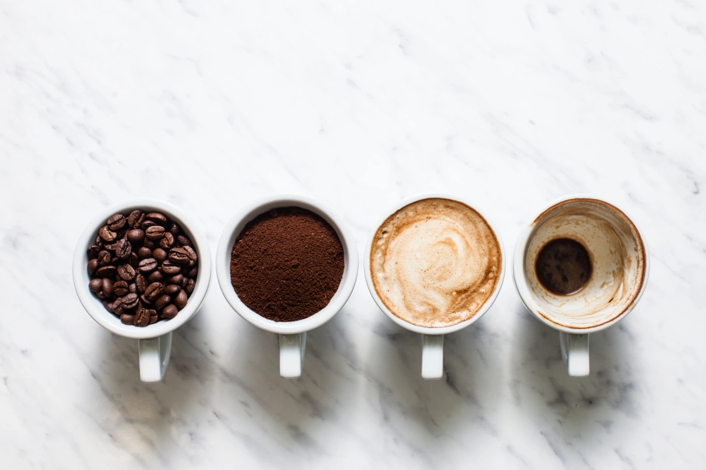 Tipos de café: conheça opções tradicionais e gourmet